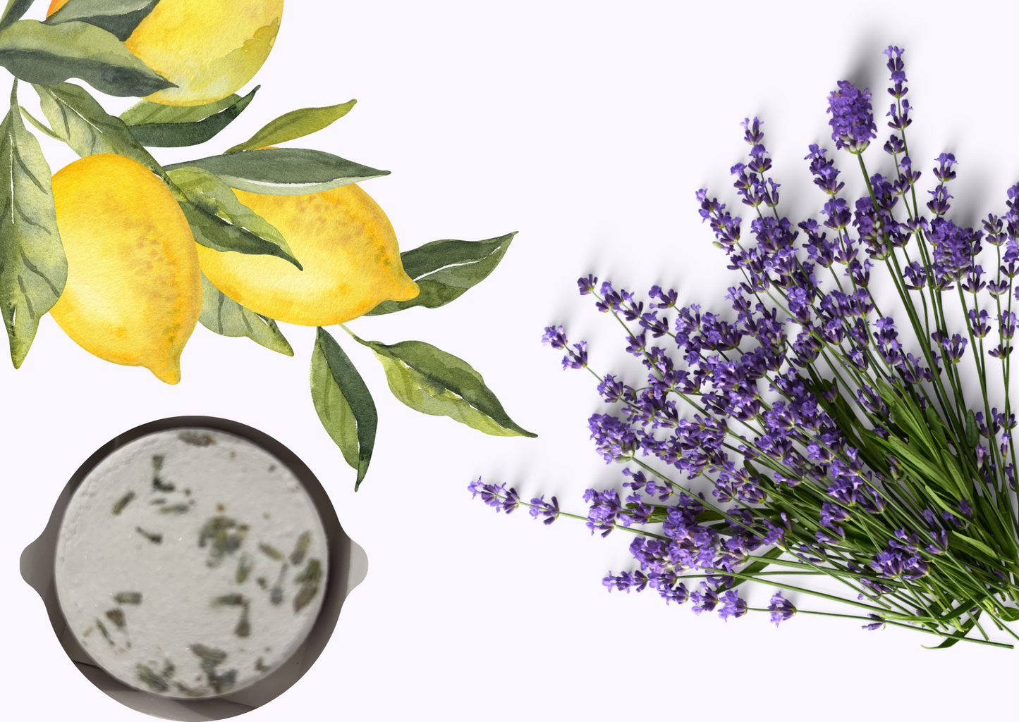 Shower Steamers Lavender & Lemon