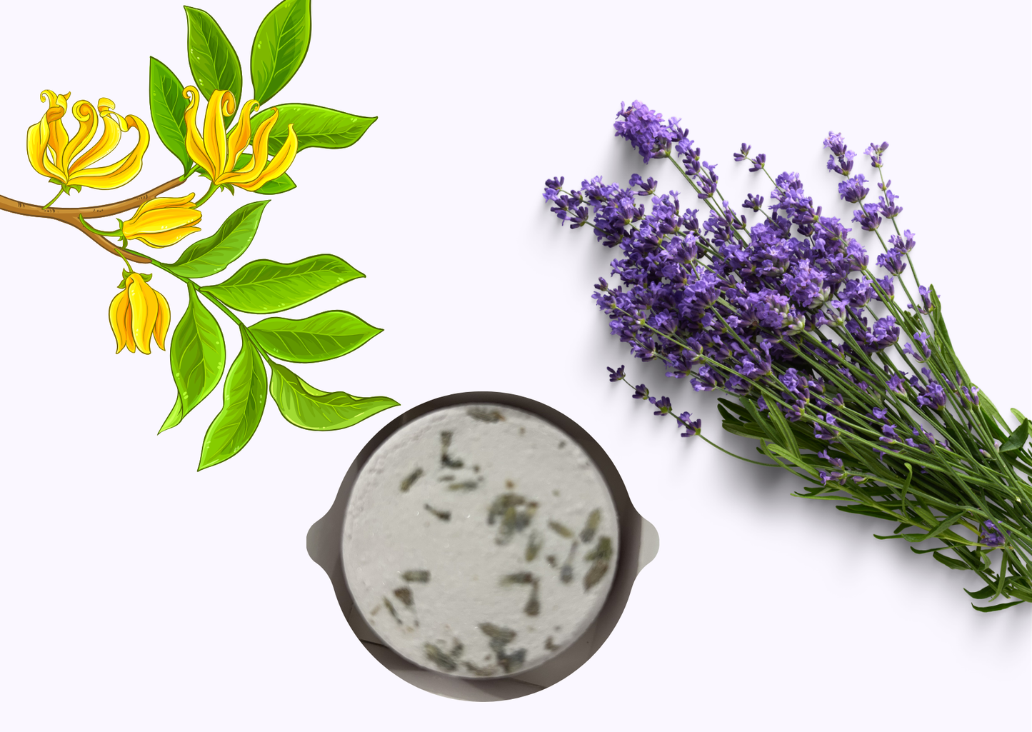 Shower Steamers Lavender & Ylang Ylang