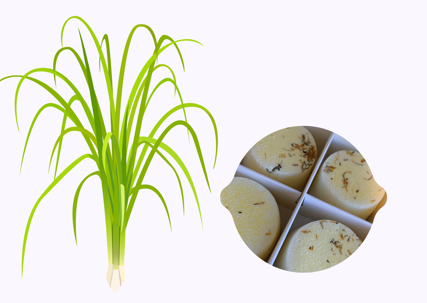 Shower Steamers Lemongrass